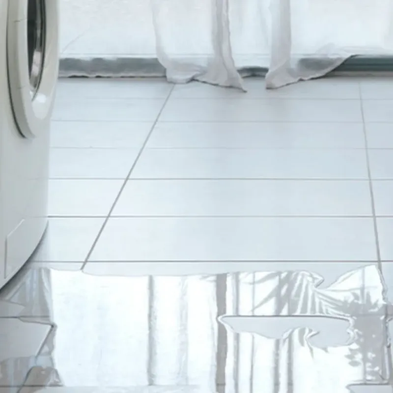 Appliance Leak Cleanup in Macon County, TN