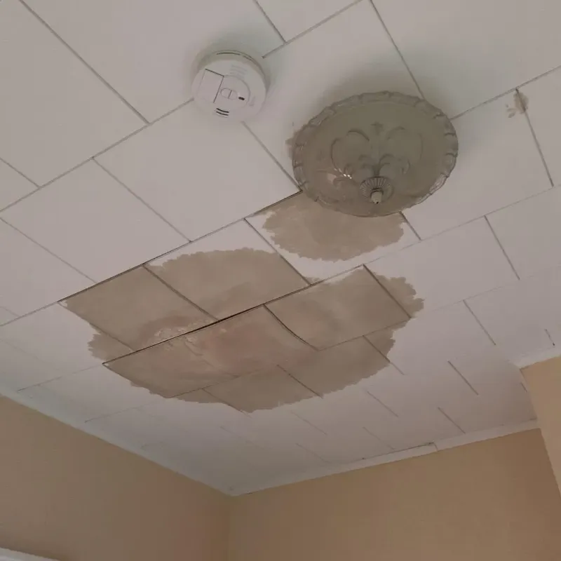 Ceiling Water Damage Repair in Macon County, TN