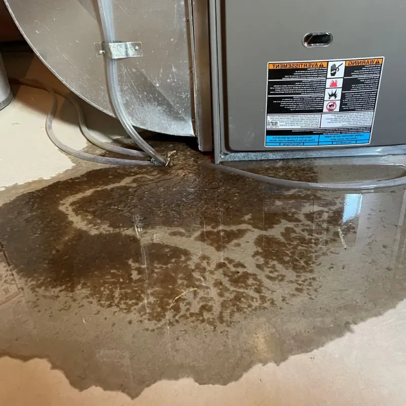 Pipe Burst and Leak Restoration in Macon County, TN